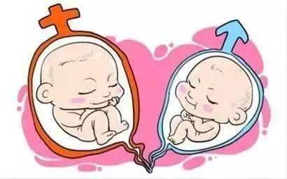 女同伴侣借卵代怀